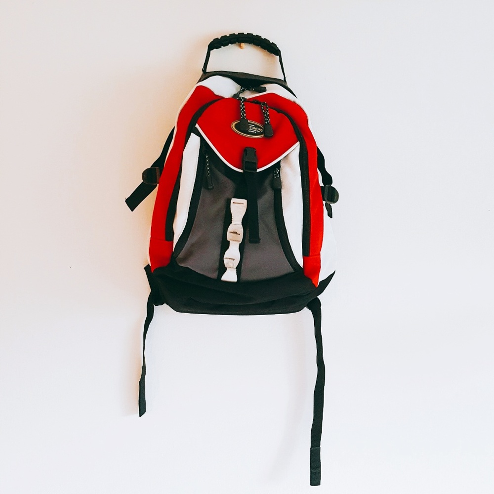 REDMOND College Travel Colorblock Backpack, red